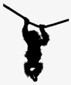 Transparent Real Hanging Monkey Silhouette - Silhouette, HD Png Download, Free Download