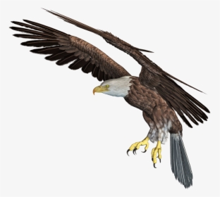 Eagle Png Download Image - 3d Eagle Png Transparent, Png Download, Free Download
