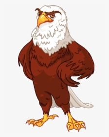 Cartoon American Eagle Vector, HD Png Download, Free Download