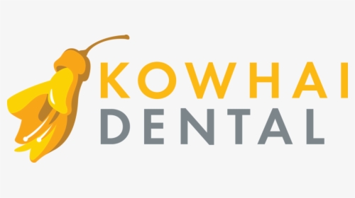 Dentist Png, Transparent Png, Free Download