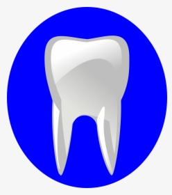 Logo Dentiste Gratuit, HD Png Download, Free Download