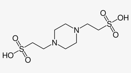 L Tyrosine Chemical Structure, HD Png Download, Free Download