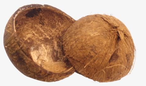 Free Png Coconut Shell Png Images Transparent - Coconut Husk Png, Png Download, Free Download