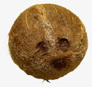 Tender Coconut Png, Transparent Png, Free Download