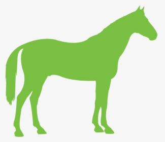 Congratulations To The Following Winners Of A Place - Transparent Green Horse, HD Png Download, Free Download