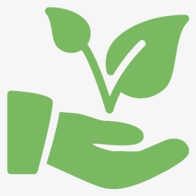 Green Growing Hand Plant Career - Dedicated Icon Png, Transparent Png, Free Download