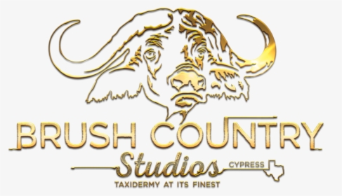 Brush Country Full Logo Gold - Graphic Design, HD Png Download, Free Download