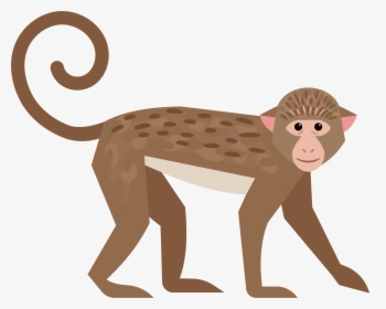 Ape Cartoon Vector Character Aka Dunc The Funky Monkey Cartoon Hd Png Download Kindpng - roblox monkey tail