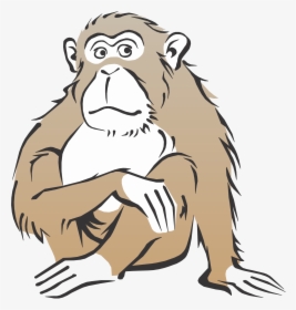 Monkey Free Cartoon Cliparts Clip Art Transparent Png - Realistic Monkey Clipart, Png Download, Free Download