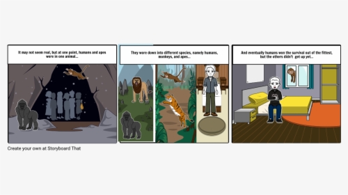Evolution Theory Storyboard Monkey To Human, HD Png Download, Free Download