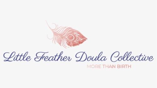 Lfdc Logo@2x, HD Png Download, Free Download