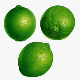Lime - Lime Transparent Background, HD Png Download, Free Download