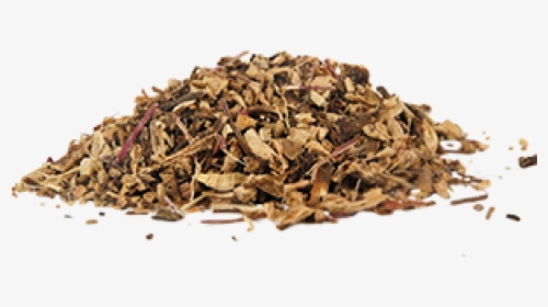Echinacea Roots Herb, HD Png Download, Free Download