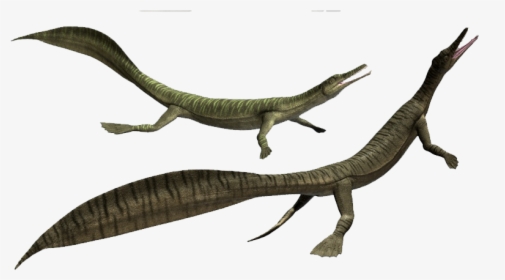 Marine Reptile Png , Transparent Cartoons - Mesosaurus 3d Model, Png Download, Free Download