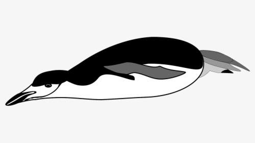 Penguin Swim Png, Transparent Png, Free Download
