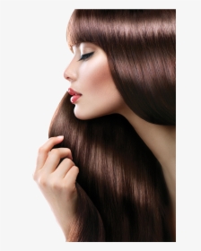 Transparent Hair Salon Clipart - Beauty Salon Png, Png Download, Free Download