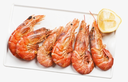 Transparent Seafood Png - Group Of Shrimp Png, Png Download, Free Download