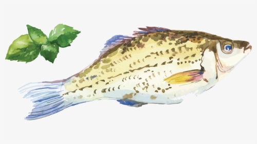 Oyster Fish Watercolor Painting Seafood - Seafood Watercolor Painting, HD Png Download, Free Download