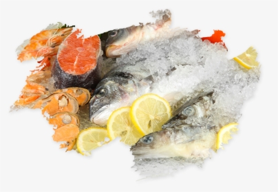 Oily Fish, HD Png Download, Free Download