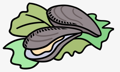 Vector Illustration Of Marine Bivalve Mollusk Shellfish - Oyster Clipart Png, Transparent Png, Free Download