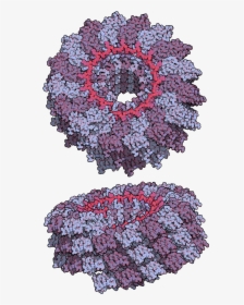 Tobacco Mosaic Virus Tmv2 - Tmv Virus Png, Transparent Png, Free Download