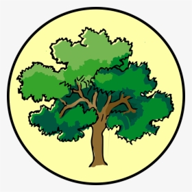 Tree Oak Circle Nature Plant Symbol Timber Bark - Narra Tree Clipart, HD Png Download, Free Download