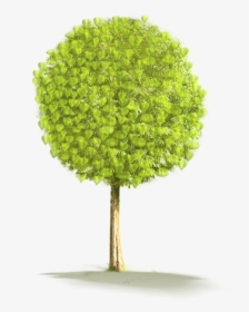 Large Tree Png Clipart - Small Tree In Png, Transparent Png, Free Download