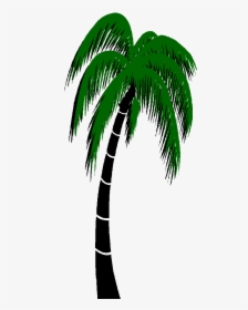 Transparent 3d Palm Tree Png - Palm Tree Animated Png, Png Download, Free Download