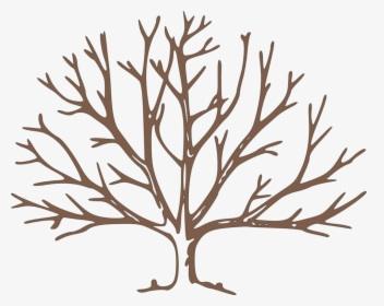 Transparent Class Reunion Clipart - Bare Tree Clipart, HD Png Download, Free Download