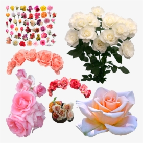 Bouquet White Roses Png, Transparent Png, Free Download