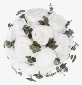 White Eukalyptus - Garden Roses, HD Png Download, Free Download