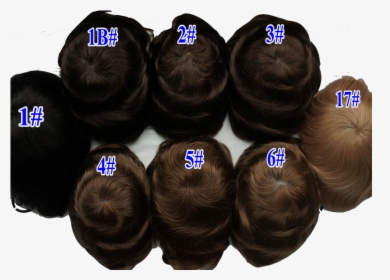 Revive Male Hair Restoration System - Bun, HD Png Download, Free Download