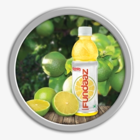 Fundaaz Healthy Energy Fruit Punch Drink - Domaine De Canton, HD Png Download, Free Download