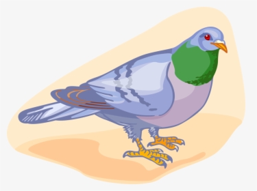 Transparent Birds Vector Png - Partridge, Png Download, Free Download