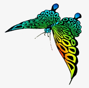Flying Butterfly Png Image With Transparent Background - Portable Network Graphics, Png Download, Free Download