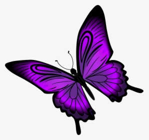Drawing Spring Purple Butterfly, HD Png Download, Free Download
