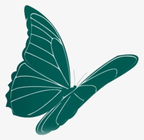 Transparent Animated Butterfly Flying Png For Free - Lycaenid, Png Download, Free Download