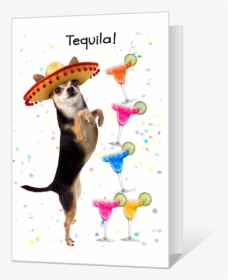 Tequila Birthday - Printable Birthday Card Dog, HD Png Download, Free Download