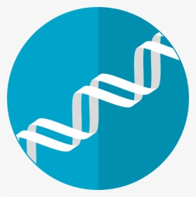Genetics-computer - Protein Icon, HD Png Download, Free Download