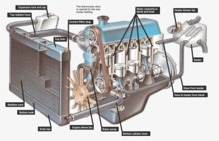 How The Coolant Circulates - Car Cooling System, HD Png Download, Free Download