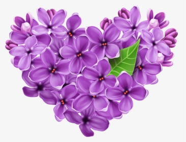 Purple Lilac Png, Transparent Png, Free Download