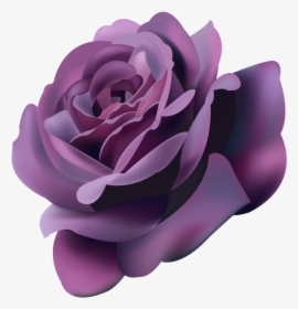 Violet Roses Png , Png Download - Violet Roses Png, Transparent Png, Free Download