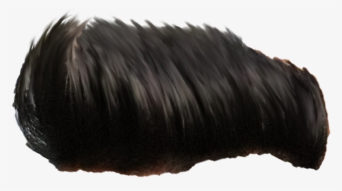 Hair Png For Boy Side, Transparent Png, Free Download