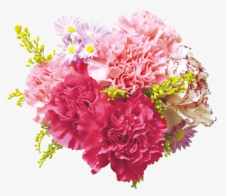 Flower Bouquet Carnation Floral Design Cut Flowers - Transparent Background Flower Png, Png Download, Free Download