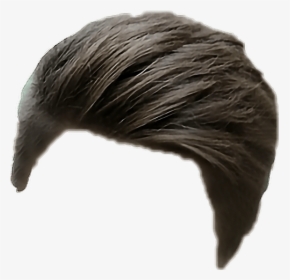 Hairstyle PNG Images, Free Transparent Hairstyle Download - KindPNG
