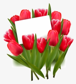 Valentine Tulips, HD Png Download, Free Download