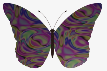 Schmetterling V1 - Butterfly, HD Png Download, Free Download