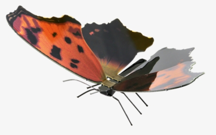 Metal Earth Butterflies - Comma, HD Png Download, Free Download