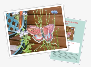 Garden 3d Butterfly, HD Png Download, Free Download