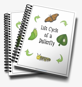 3d Life Cycle Of Butterfly, HD Png Download, Free Download